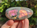 Polished Rare Purple Sunset Flash Labradorite Palm Stones x 12 From Madagascar - Toprock Gemstones and Minerals 