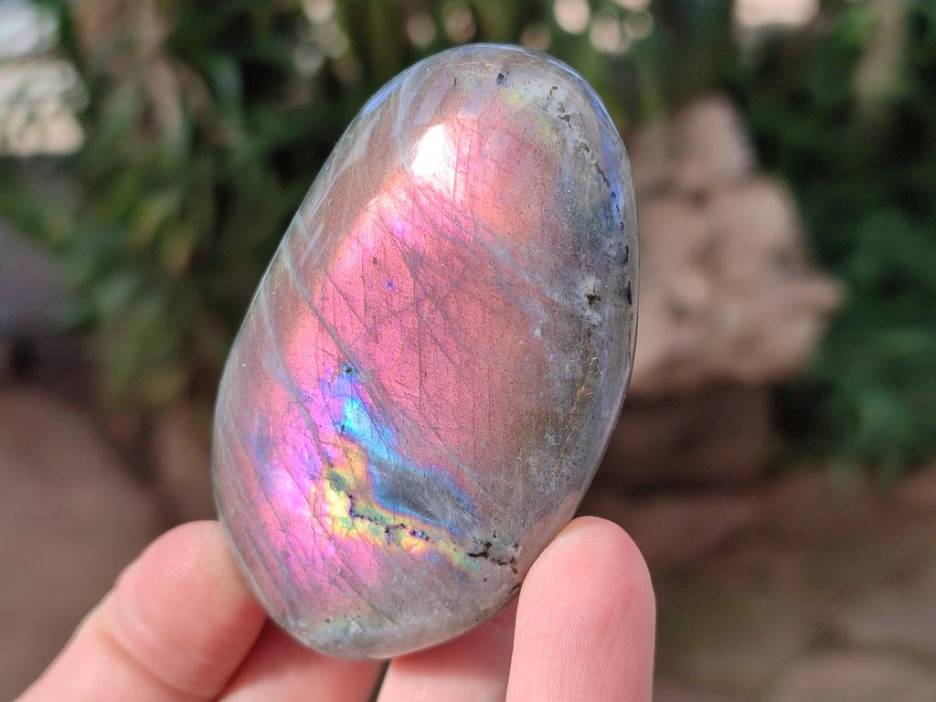 Polished Rare Purple Sunset Flash Labradorite Palm Stones x 12 From Madagascar - Toprock Gemstones and Minerals 