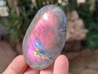Polished Rare Purple Sunset Flash Labradorite Palm Stones x 12 From Madagascar - Toprock Gemstones and Minerals 