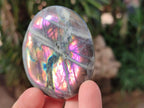 Polished Rare Purple Sunset Flash Labradorite Palm Stones x 12 From Madagascar - Toprock Gemstones and Minerals 