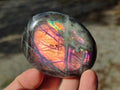 Polished Rare Purple Sunset Flash Labradorite Palm Stones x 12 From Madagascar - Toprock Gemstones and Minerals 