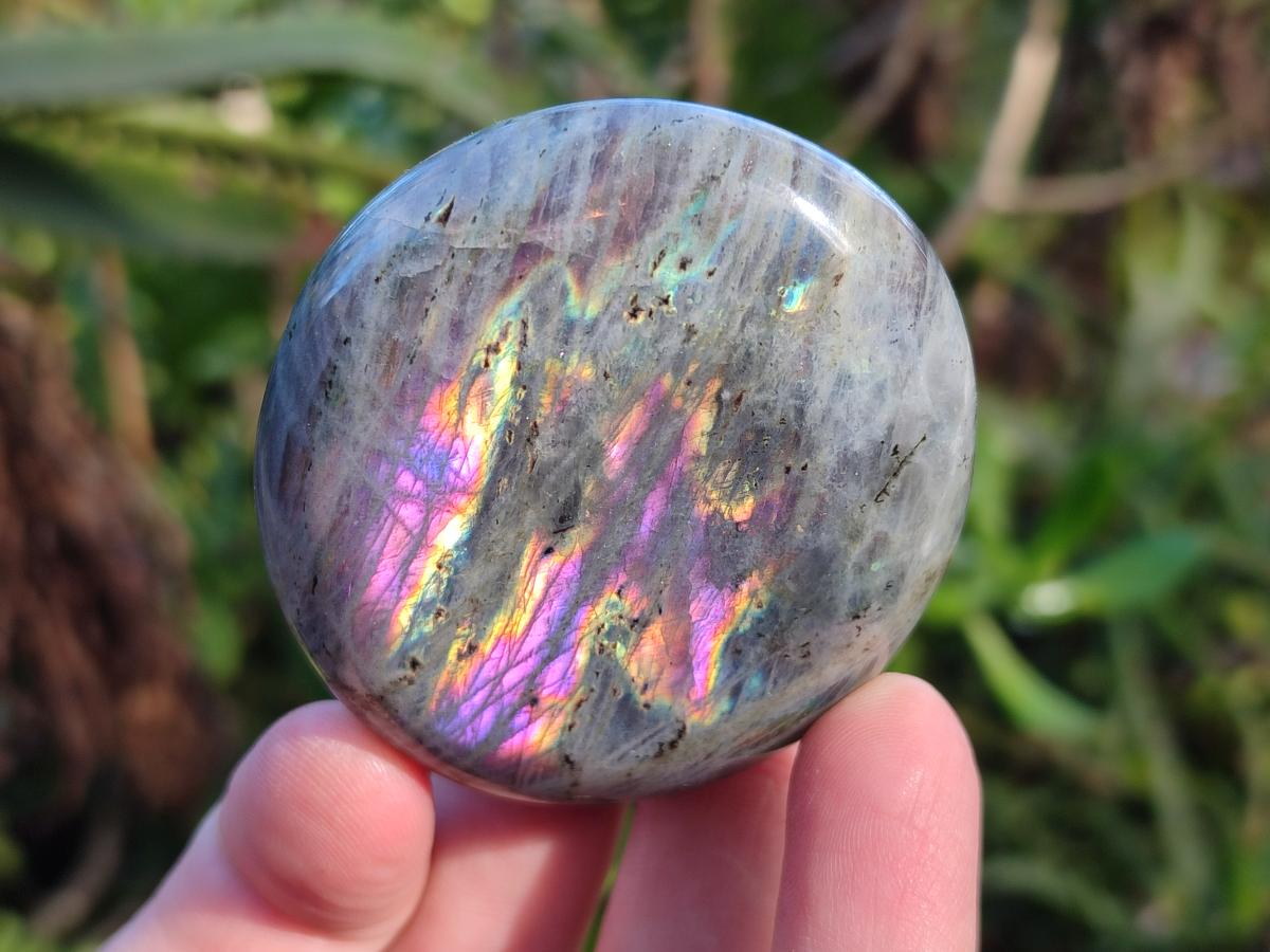 Polished Rare Purple Sunset Flash Labradorite Palm Stones x 12 From Madagascar - Toprock Gemstones and Minerals 