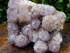 Natural Large Cabinet Spirit Amethyst Cluster x 1 From Boekenhouthoek, South Africa - Toprock Gemstones and Minerals 