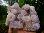 Natural Large Cabinet Spirit Amethyst Cluster x 1 From Boekenhouthoek, South Africa - Toprock Gemstones and Minerals 