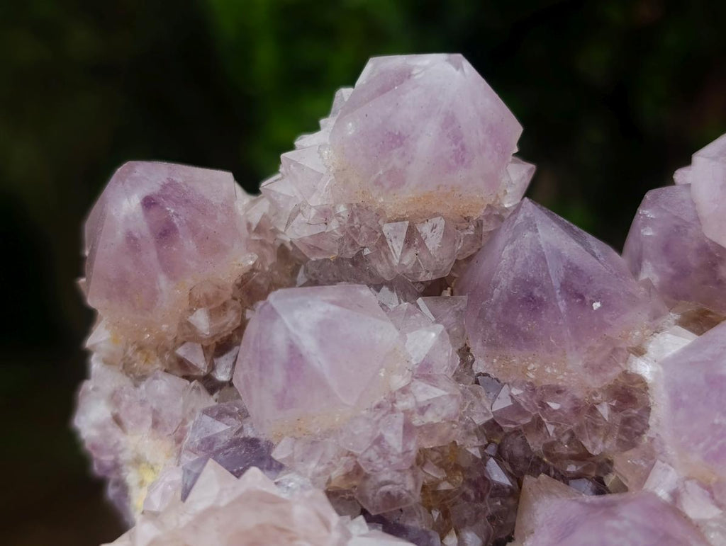 Natural Large Cabinet Spirit Amethyst Cluster x 1 From Boekenhouthoek, South Africa - Toprock Gemstones and Minerals 