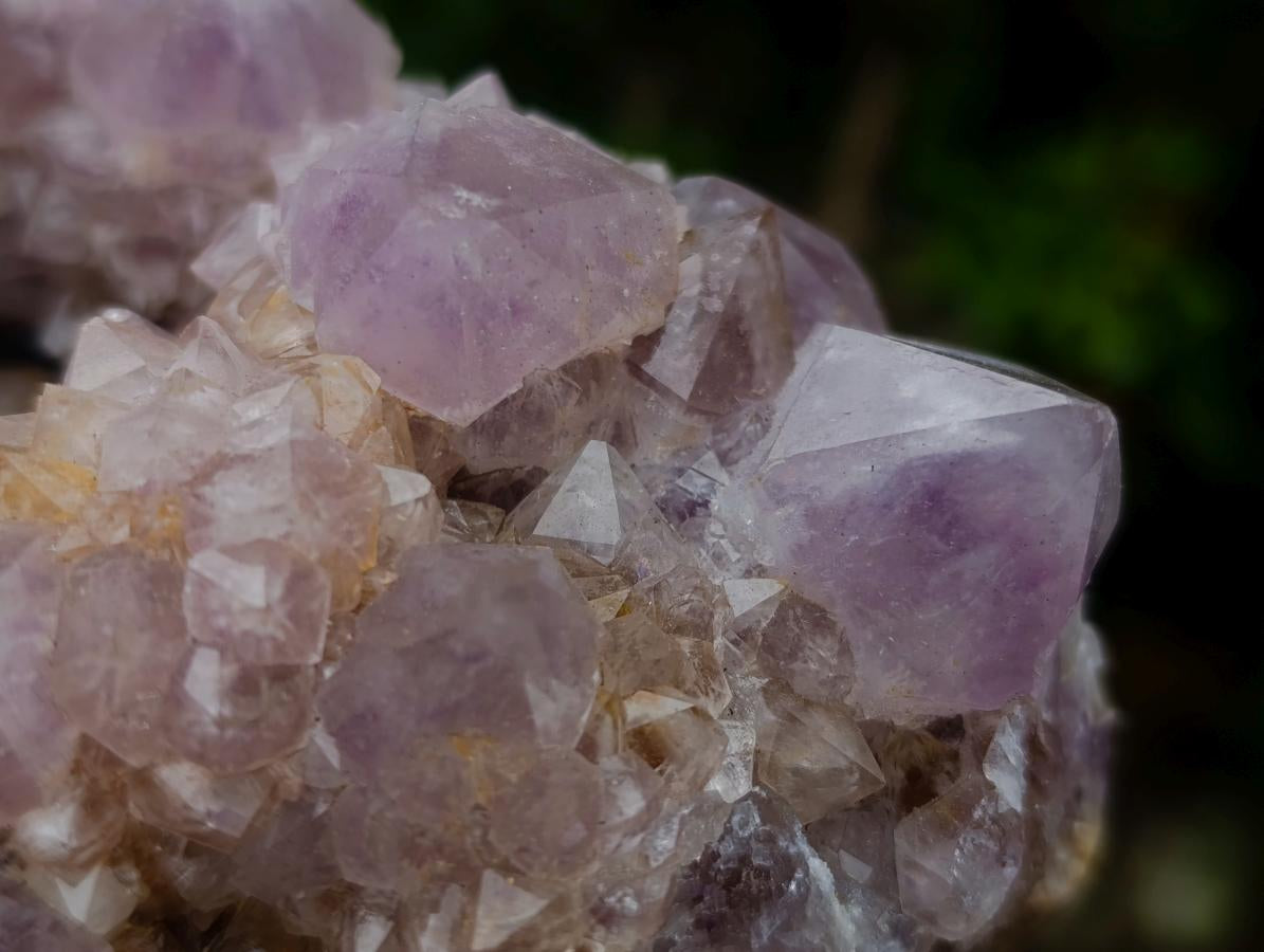Natural Large Cabinet Spirit Amethyst Cluster x 1 From Boekenhouthoek, South Africa - Toprock Gemstones and Minerals 