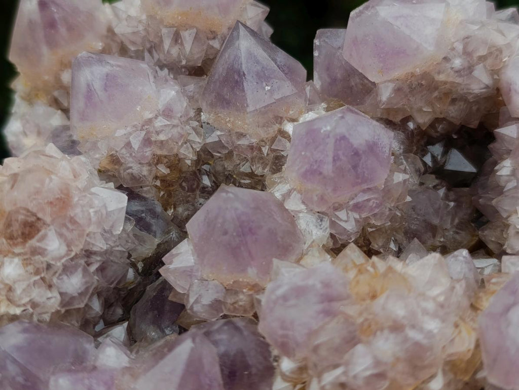 Natural Large Cabinet Spirit Amethyst Cluster x 1 From Boekenhouthoek, South Africa - Toprock Gemstones and Minerals 