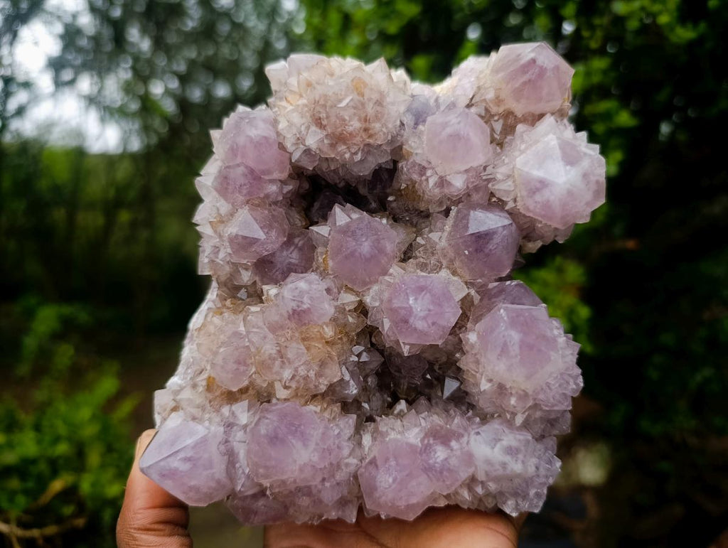 Natural Large Cabinet Spirit Amethyst Cluster x 1 From Boekenhouthoek, South Africa - Toprock Gemstones and Minerals 