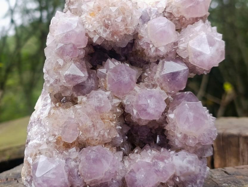 Natural Large Cabinet Spirit Amethyst Cluster x 1 From Boekenhouthoek, South Africa - Toprock Gemstones and Minerals 