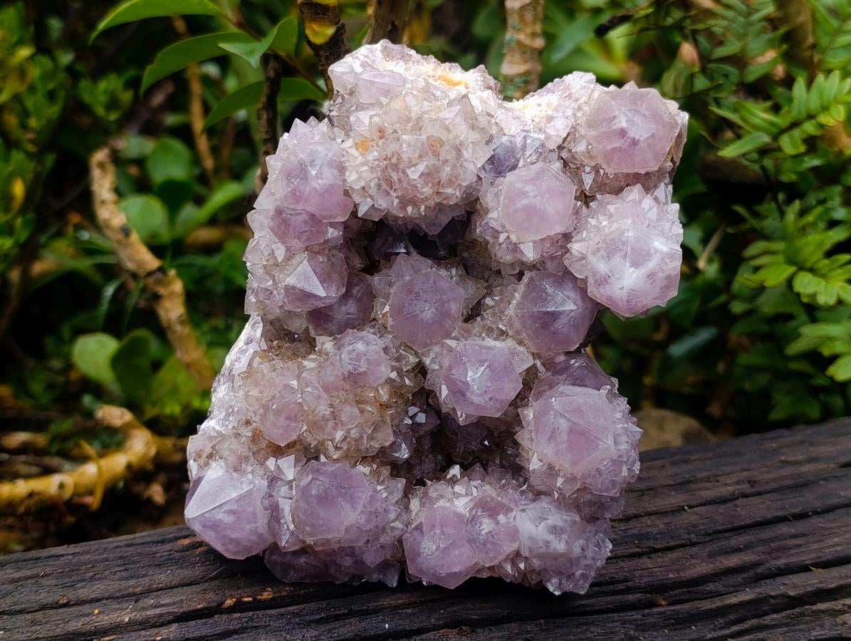 Natural Large Cabinet Spirit Amethyst Cluster x 1 From Boekenhouthoek, South Africa - Toprock Gemstones and Minerals 