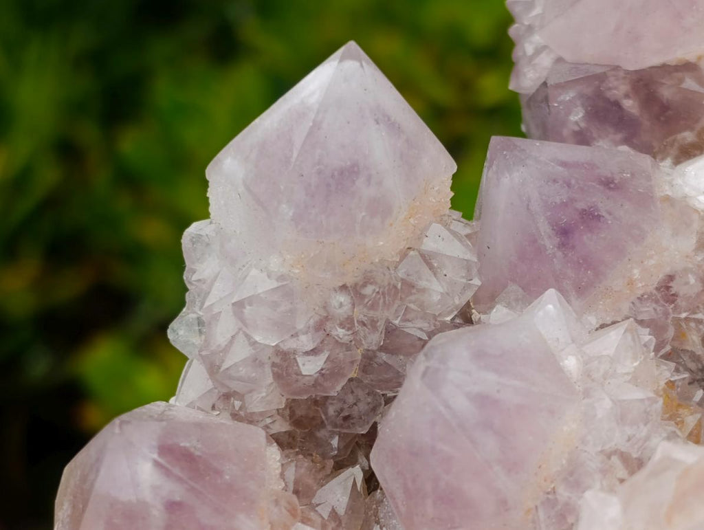 Natural Large Cabinet Spirit Amethyst Cluster x 1 From Boekenhouthoek, South Africa - Toprock Gemstones and Minerals 