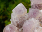 Natural Large Cabinet Spirit Amethyst Cluster x 1 From Boekenhouthoek, South Africa - Toprock Gemstones and Minerals 