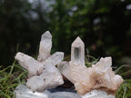 Natural Small Malagasy Quartz Clusters x 35 From Madagascar - Toprock Gemstones and Minerals 