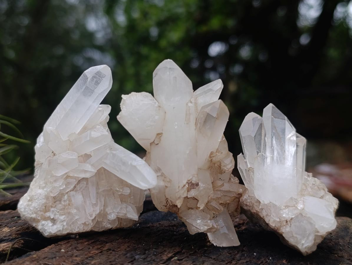 Natural Small Malagasy Quartz Clusters x 35 From Madagascar - Toprock Gemstones and Minerals 