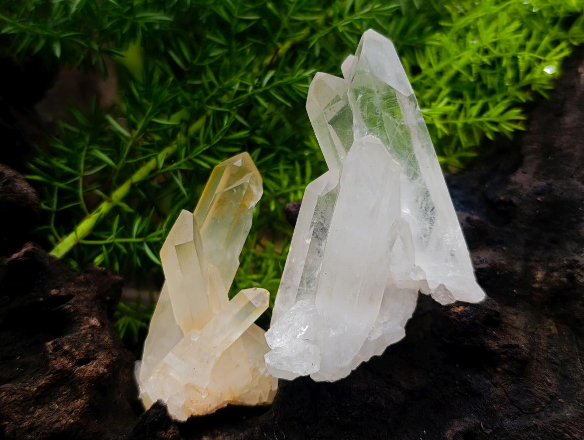 Natural Small Malagasy Quartz Clusters x 35 From Madagascar - Toprock Gemstones and Minerals 