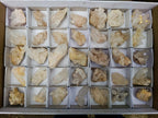 Natural Small Malagasy Quartz Clusters x 35 From Madagascar - Toprock Gemstones and Minerals 