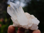 Natural Small Malagasy Quartz Clusters x 35 From Madagascar - Toprock Gemstones and Minerals 