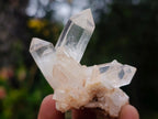 Natural Small Malagasy Quartz Clusters x 35 From Madagascar - Toprock Gemstones and Minerals 