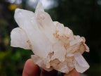 Natural Small Malagasy Quartz Clusters x 35 From Madagascar - Toprock Gemstones and Minerals 