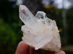 Natural Small Malagasy Quartz Clusters x 35 From Madagascar - Toprock Gemstones and Minerals 