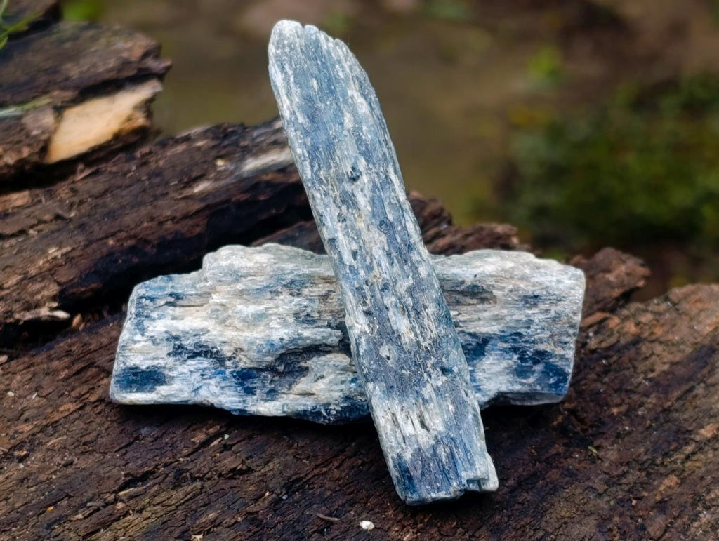 Natural Kyanite Crystals x 24 From Karoi, Zimbabwe - Toprock Gemstones and Minerals 