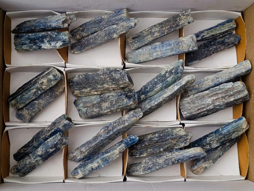 Natural Kyanite Crystals x 24 From Karoi, Zimbabwe - Toprock Gemstones and Minerals 