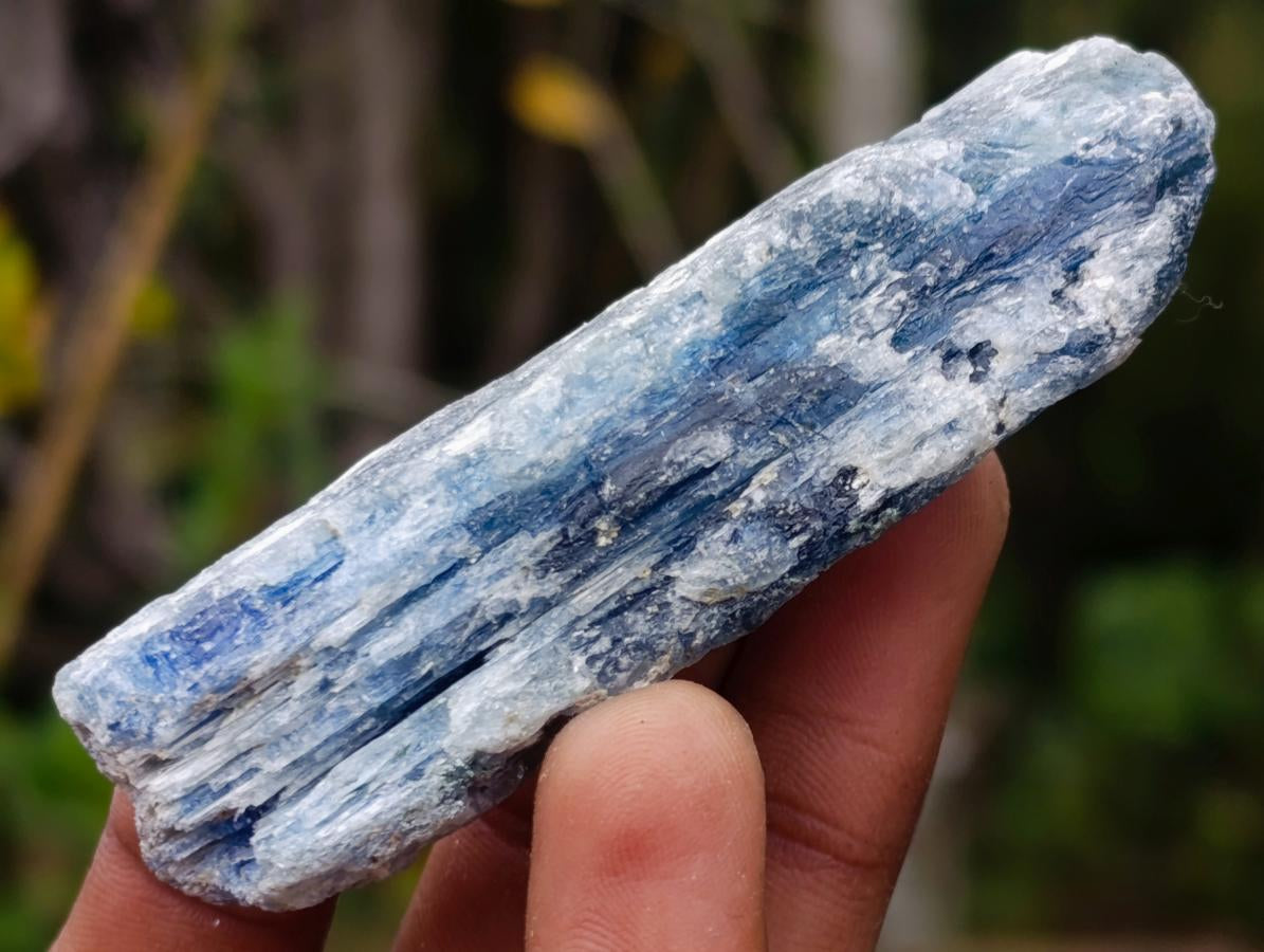 Natural Kyanite Crystals x 24 From Karoi, Zimbabwe - Toprock Gemstones and Minerals 