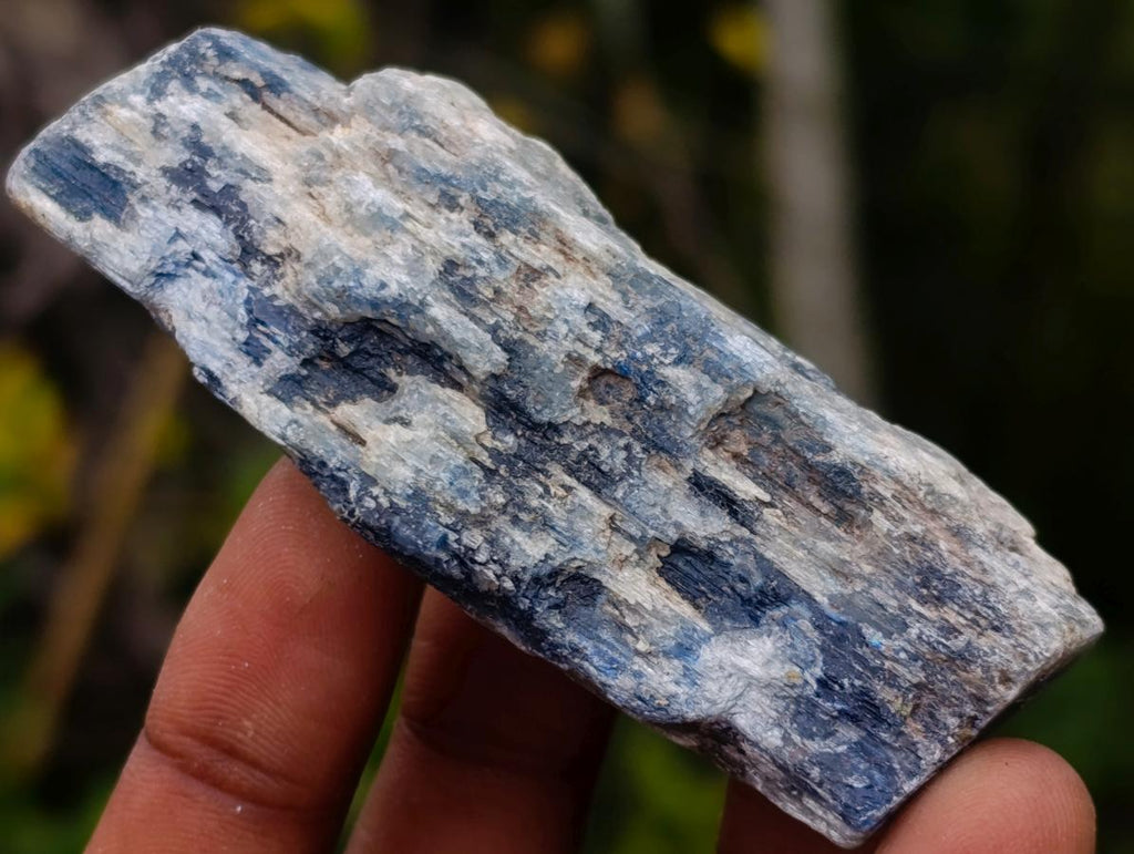Natural Kyanite Crystals x 24 From Karoi, Zimbabwe - Toprock Gemstones and Minerals 