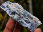 Natural Kyanite Crystals x 24 From Karoi, Zimbabwe - Toprock Gemstones and Minerals 