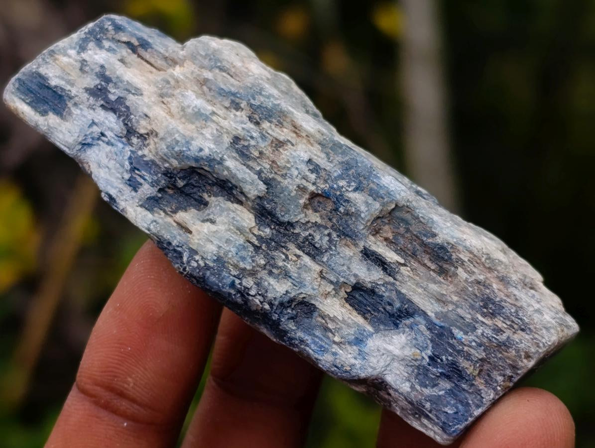 Natural Kyanite Crystals x 24 From Karoi, Zimbabwe - Toprock Gemstones and Minerals 