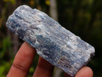 Natural Kyanite Crystals x 24 From Karoi, Zimbabwe - Toprock Gemstones and Minerals 