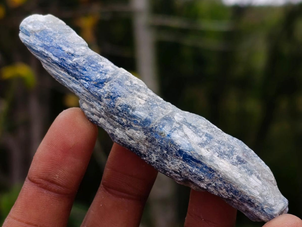 Natural Kyanite Crystals x 24 From Karoi, Zimbabwe - Toprock Gemstones and Minerals 