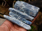 Natural Kyanite Crystals x 24 From Karoi, Zimbabwe - Toprock Gemstones and Minerals 