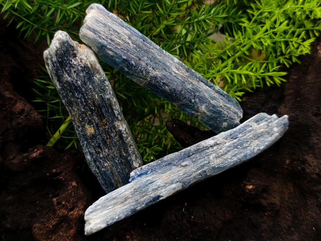 Natural Kyanite Crystals x 24 From Karoi, Zimbabwe - Toprock Gemstones and Minerals 