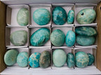 Polished Amazonite Palm Stones x 19 From Madagascar - Toprock Gemstones and Minerals 