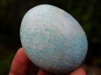 Polished Amazonite Palm Stones x 19 From Madagascar - Toprock Gemstones and Minerals 