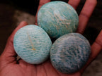 Polished Amazonite Palm Stones x 19 From Madagascar - Toprock Gemstones and Minerals 
