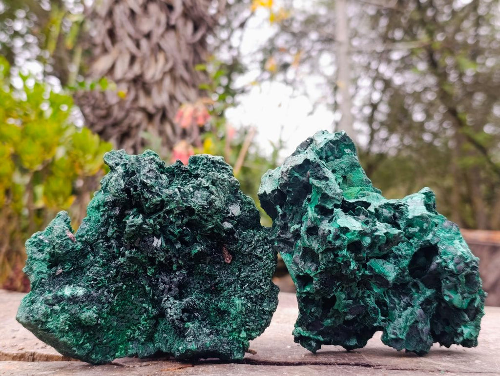 Natural Silky Malachite Specimens x 2 From Kasompe, Congo - Toprock Gemstones and Minerals 