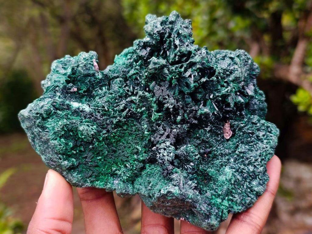 Natural Silky Malachite Specimens x 2 From Kasompe, Congo - Toprock Gemstones and Minerals 