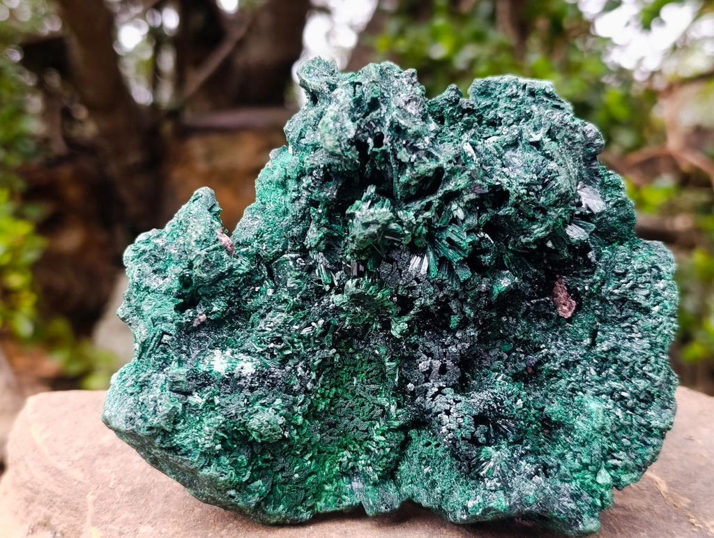 Natural Silky Malachite Specimens x 2 From Kasompe, Congo - Toprock Gemstones and Minerals 