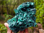 Natural Silky Malachite Specimens x 2 From Kasompe, Congo - Toprock Gemstones and Minerals 