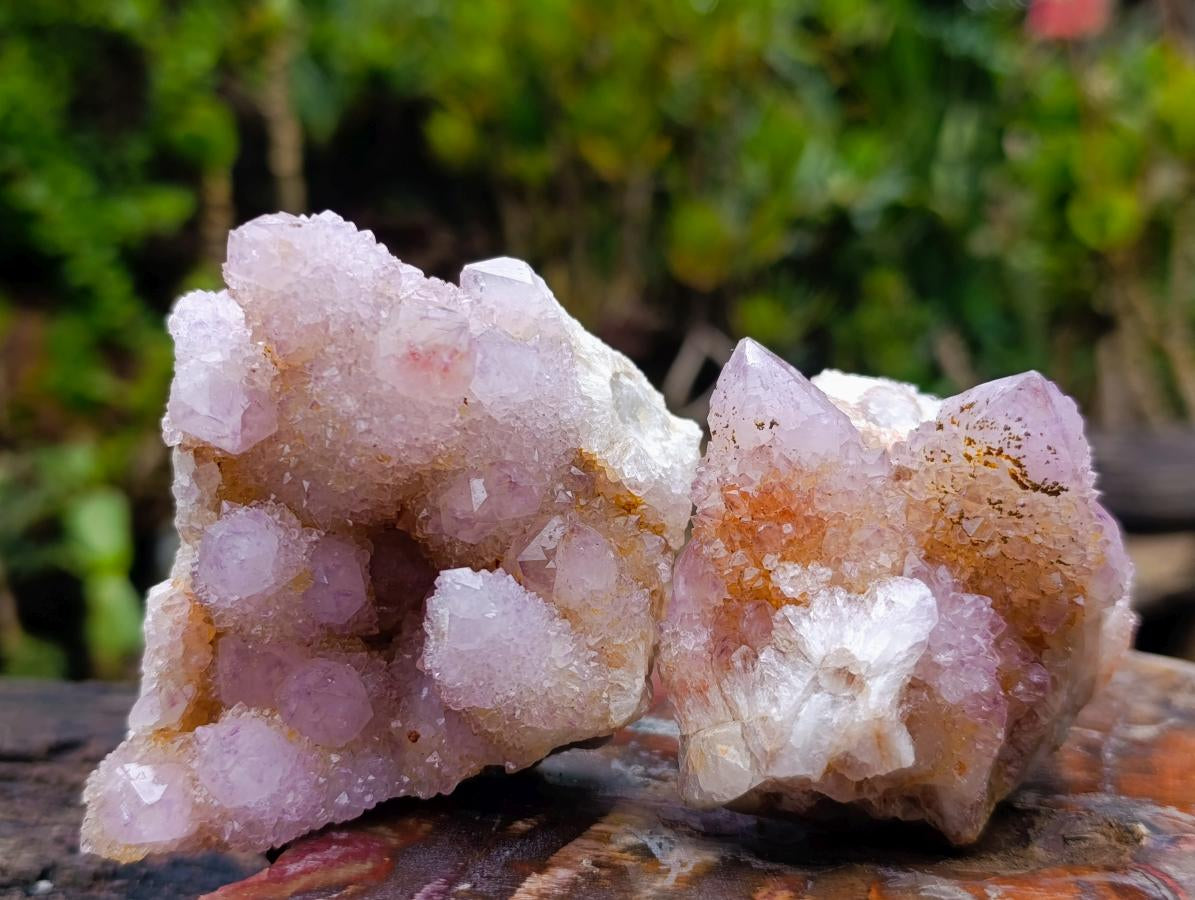 Natural Spirit Amethyst and Ametrine Clusters x 6 From Boekenhouthoek, South Africa - Toprock Gemstones and Minerals 