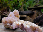 Natural Spirit Amethyst and Ametrine Clusters x 6 From Boekenhouthoek, South Africa - Toprock Gemstones and Minerals 