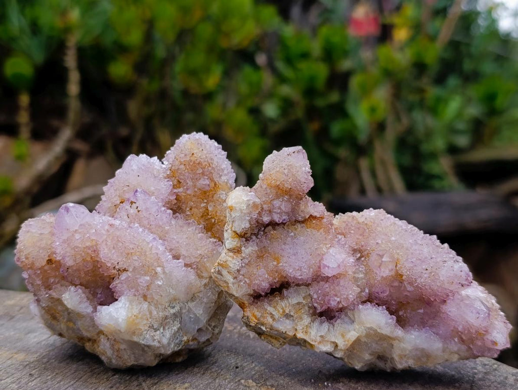 Natural Spirit Amethyst and Ametrine Clusters x 6 From Boekenhouthoek, South Africa - Toprock Gemstones and Minerals 
