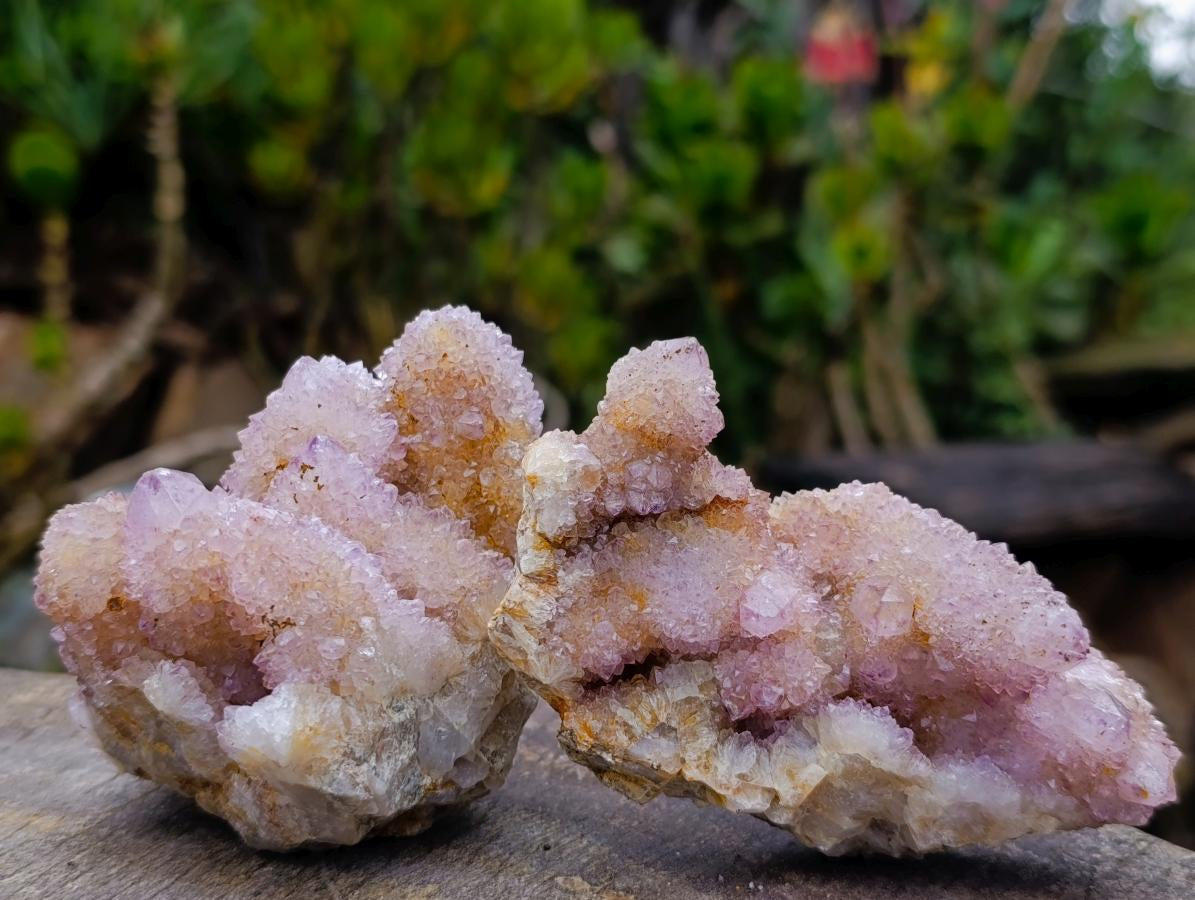 Natural Spirit Amethyst and Ametrine Clusters x 6 From Boekenhouthoek, South Africa - Toprock Gemstones and Minerals 