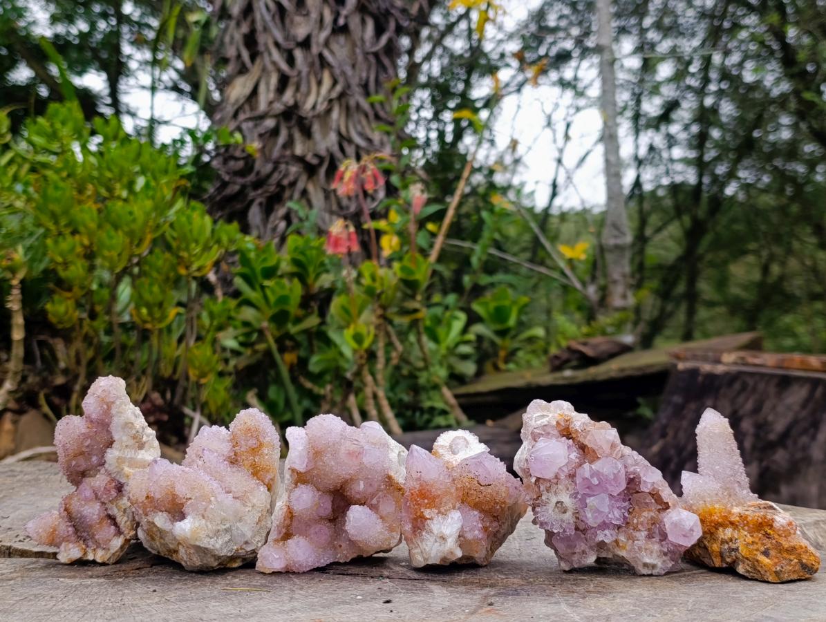 Natural Spirit Amethyst and Ametrine Clusters x 6 From Boekenhouthoek, South Africa - Toprock Gemstones and Minerals 
