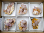 Natural Spirit Amethyst and Ametrine Clusters x 6 From Boekenhouthoek, South Africa - Toprock Gemstones and Minerals 