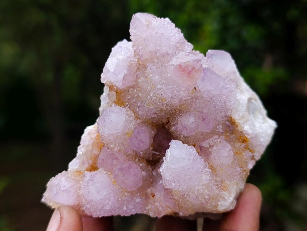 Natural Spirit Amethyst and Ametrine Clusters x 6 From Boekenhouthoek, South Africa - Toprock Gemstones and Minerals 