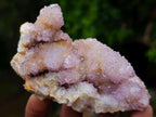 Natural Spirit Amethyst and Ametrine Clusters x 6 From Boekenhouthoek, South Africa - Toprock Gemstones and Minerals 