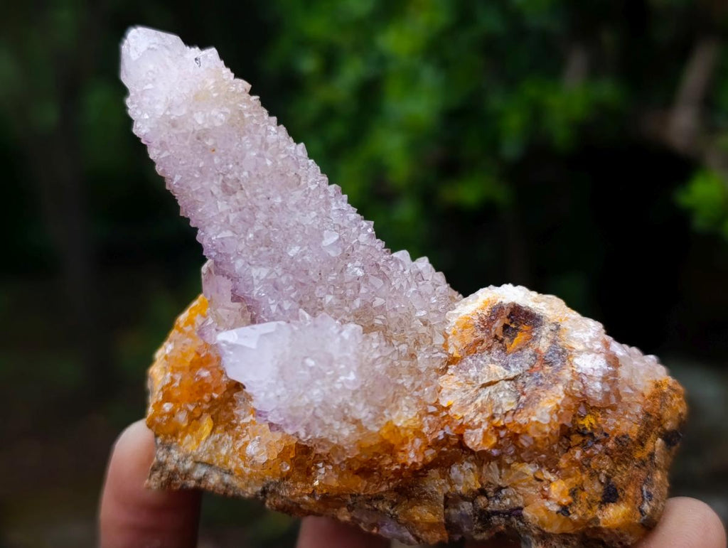 Natural Spirit Amethyst and Ametrine Clusters x 6 From Boekenhouthoek, South Africa - Toprock Gemstones and Minerals 